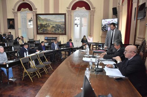 El Senado provincial también se pronunció contra la ley de humedales 