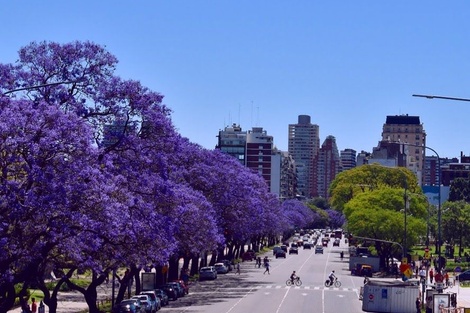 Tiempo en Buenos Aires: el pronóstico para este fin de semana