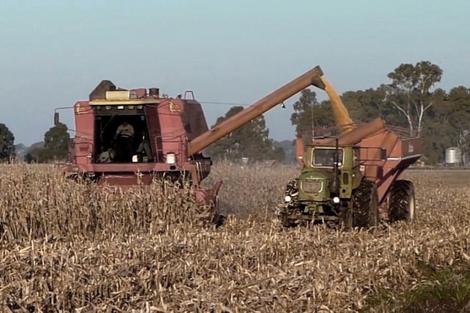 Habrá préstamos subsidiados para productores que no entraron al dólar soja.