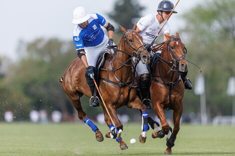 Abierto de polo de Tortugas: Ellerstina y La Natividad jugarán la final