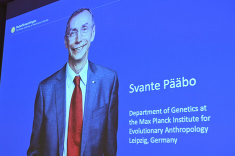 El Nobel de Medicina fue para el biólogo sueco Svante Pääbo