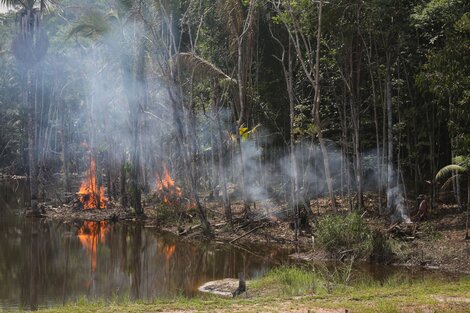 Los incendios registrados en la Amazonia durante 2022 ya superaron el total del año pasado