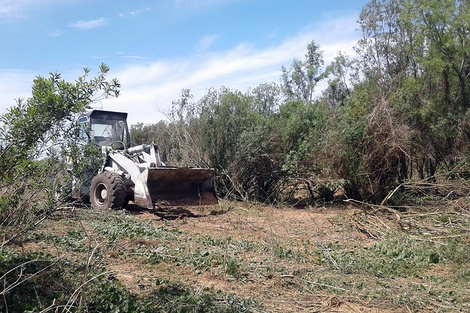 Parte de la maquinaria que la ong registró en las islas en el arroyo Careaga.