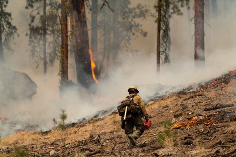 El cambio climático aumentó la probabilidad de sequía al menos 20 veces en el hemisferio norte