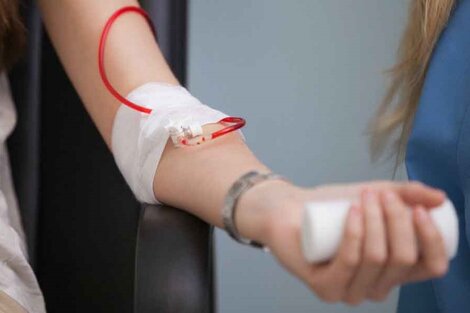 Cómo donar sangre: requisitos, impedimentos y recomendaciones