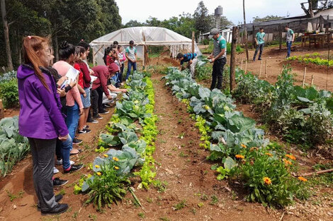 “Es una escuela para la dignidad de los productores”