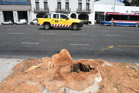 CABA: Cumbre verde a puro cemento