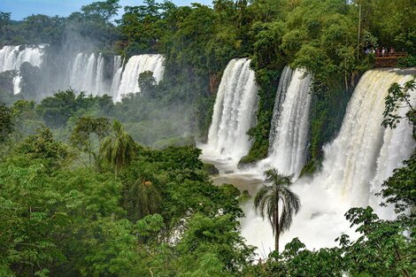 Misiones: cierran el Parque Nacional Iguazú por la crecida de ríos y las intensas lluvias