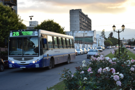 Continúa el paro de colectivos de corta y media distancia