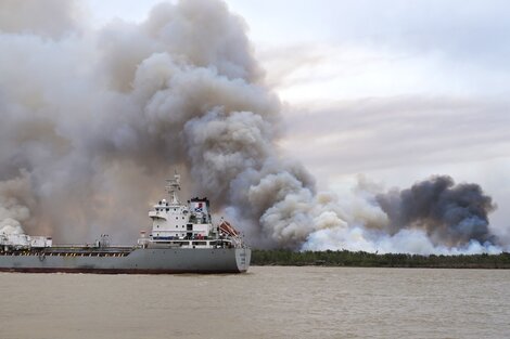 Incendios en el Delta: el humo llega al norte de Buenos Aires