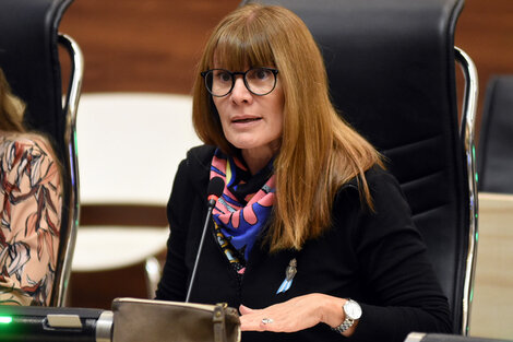 La concejala Susana Rueda en su intervención en el recinto.
