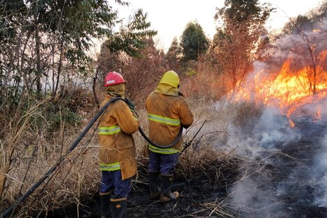 Nueva oleada de incendios en la provincia 