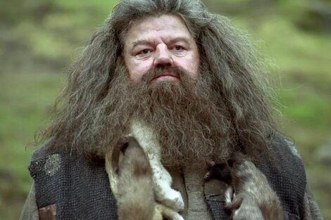 Robbie Coltrane como Hagrid en la película Harry Potter. Imagen: Warner. 