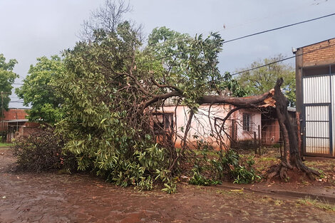 El SMN emitió alertas por tormentas intensas en el litoral y fuertes vientos para el sur