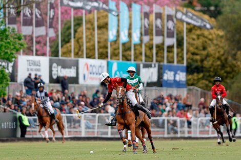 Abierto de polo de Hurlingham: La Dolfina y La Irenita Grand Champions jugarán la final