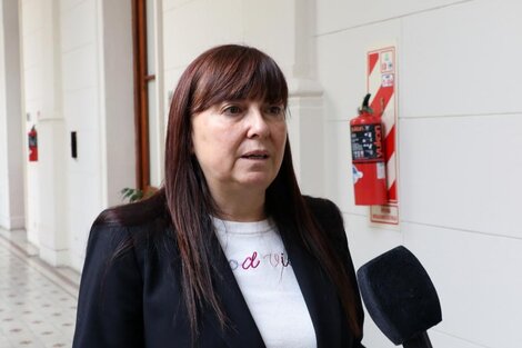 Ministra de Gobierno de la provincia, Celia Arena.
