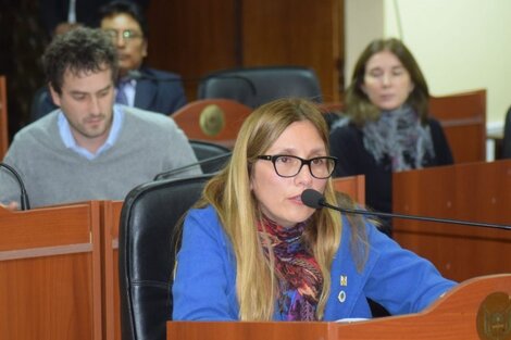 Una diputada de Catamarca habló de su abuso en plena sesión