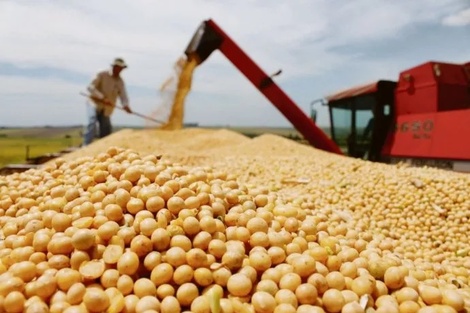 La Rioja quiere incursionar en el cultivo de soja y hará una prueba experimental en las próximas semanas.