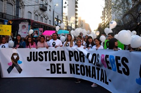 Muerte de bebés en Córdoba: la enfermera había investigado cómo dosificar potasio e insulina