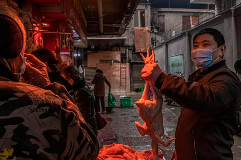 El primer contagio registrado de covid 19 se produjo el 17 de noviembre de 2019.