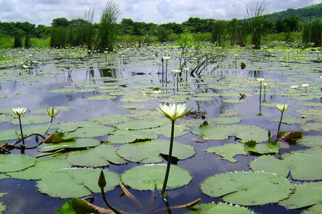 Argentina puede ser una potencia ambiental