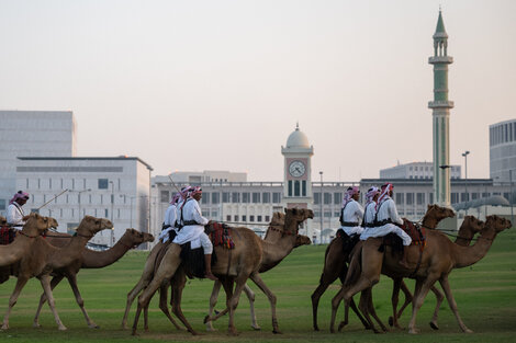 Las carreras de camellos con jinetes robotizados es uno de los deportes tradicionales de Qatar, heredado de las tribus beduinas. 