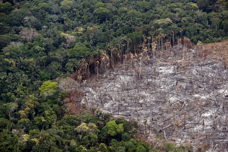 Niñas, niñas y adolescentes del continente debatieron sobre problemáticas ambientales y climáticas  