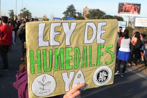 Un diputado del Frente de Todos denuncia presiones contra la Ley de Humedales: "Las mineras ganan desde hace diez años" 