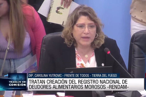 Avanza en Diputados un proyecto para crear un Registro Nacional de Deudores Alimentarios 