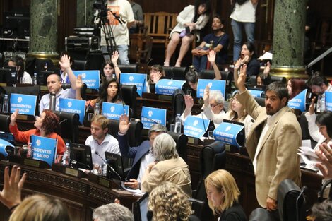 Legisladores del FdT apoyaron el reclamo de residentes y concurrentes.