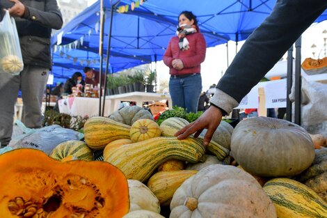 Crece la mesa del campo que alimenta