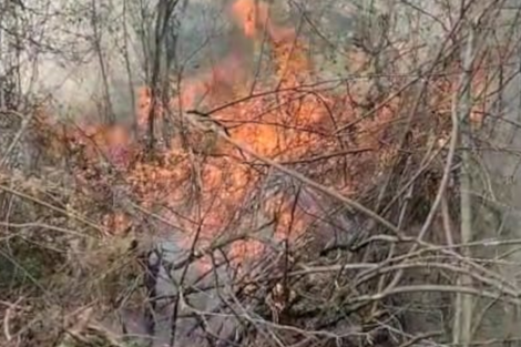 El fuego en el bosque seco de las Yungas salteñas. 