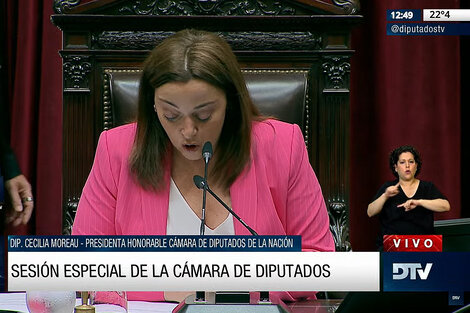 Diputados trata el Registro Nacional de Deudores Alimentarios y otros proyectos sociales 