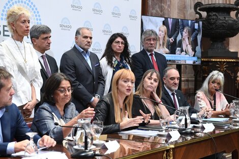 La senadora Anabel Fernández Sagasti en la conferencia de prensa que se hizo en el Senado.