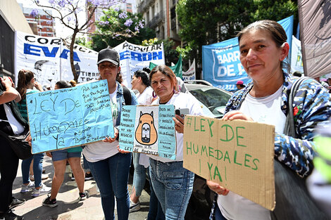 En la calle grupos ambientalistas hicieron sentir su repudio al dictamen.