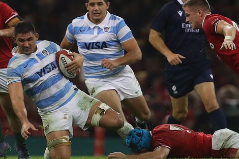 Pablo Matera recibe un tackle cuando encabezaba un ataque de Los Pumas (Fuente: AFP)