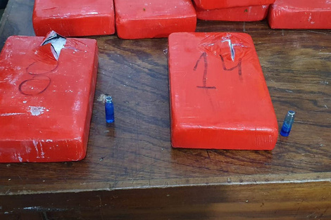 Secuestraron cocaína y hojas de coca 