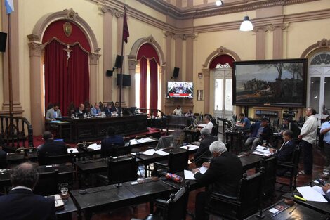 El Senado creó un registro de obstructores de lazos familiares 