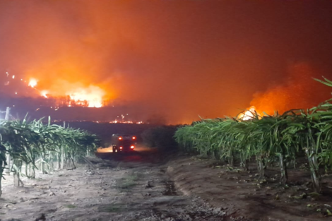 Las llamas anoche en Yuto, Jujuy. 