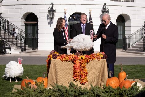 Joe Biden indultó a dos pavos por Acción de Gracias y bromeó sobre las elecciones