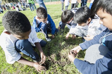 El gobierno de Salta busca aplicar la educación ambiental integral desde 2024