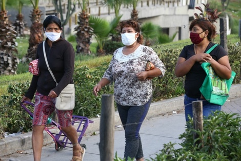 46 proyectos productivos para fortalecer la autonomía económica contra las violencias 