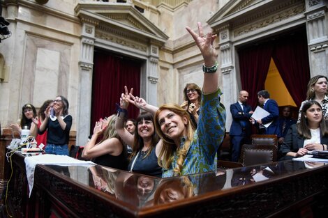 Diputados de la Nación reconoció la lengua de señas argentina 