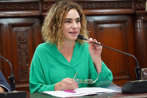 La diutada Mónia Peralta impulsó el debate.
