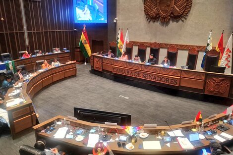 El Congreso boliviano aprobó la Ley del Censo que destrabó el conflicto  (Fuente: Cámara de Senadores de Bolivia)