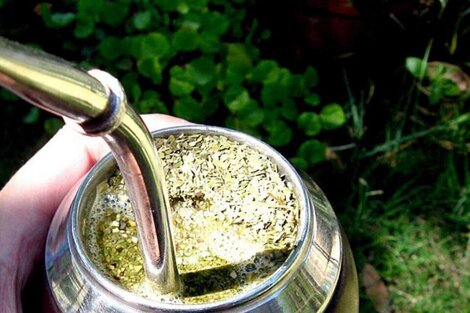 Día Nacional del Mate: sus aportes nutricionales y 5 tips para preparar el mejor