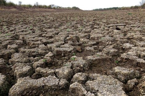 Casi 23 millones de hectáreas están gravemente afectadas por la seca. 