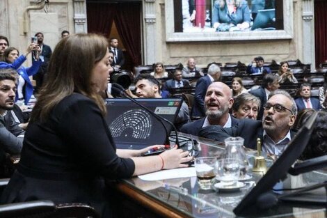 Diputados por Salta repudian el ataque machista a Cecilia Moreau 