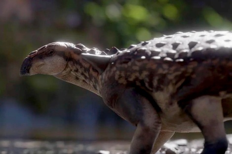 Bautizado como patagopelta cristata, fue encontrado en las proximidades del Salitral Moreno, al sur de la ciudad rionegrina de General Roca.