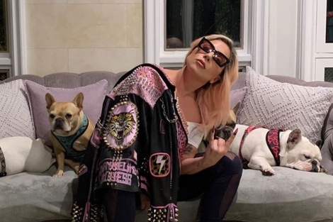 El hombre que robó los perros de Lady Gaga fue condenado a 21 años de prisión